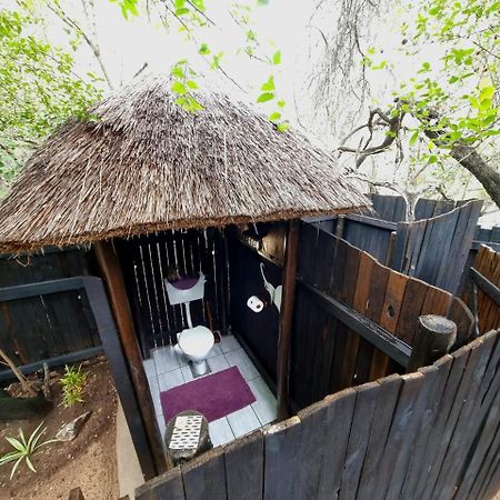 Off Beat Safaris Bush Lodge Hoedspruit Zewnętrze zdjęcie