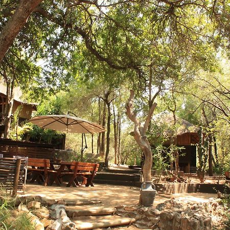 Off Beat Safaris Bush Lodge Hoedspruit Zewnętrze zdjęcie