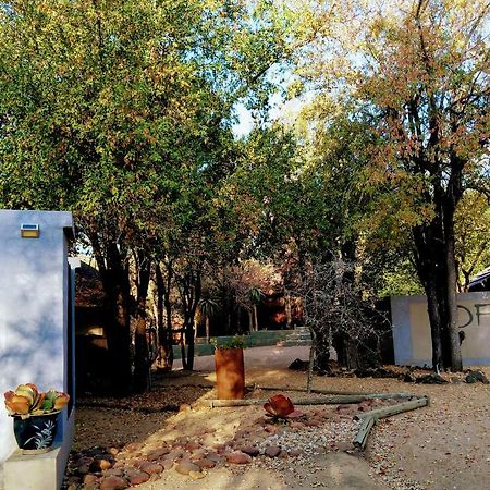 Off Beat Safaris Bush Lodge Hoedspruit Zewnętrze zdjęcie