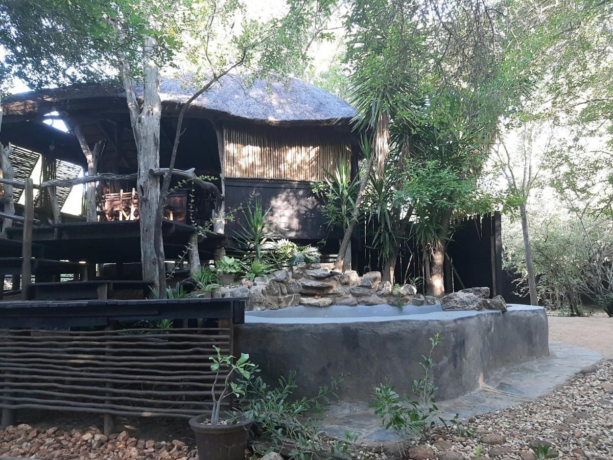 Off Beat Safaris Bush Lodge Hoedspruit Zewnętrze zdjęcie