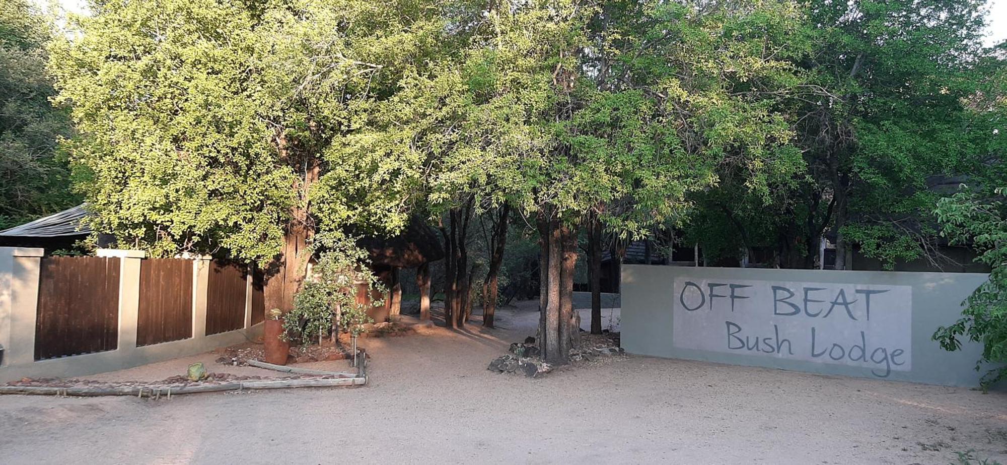 Off Beat Safaris Bush Lodge Hoedspruit Zewnętrze zdjęcie
