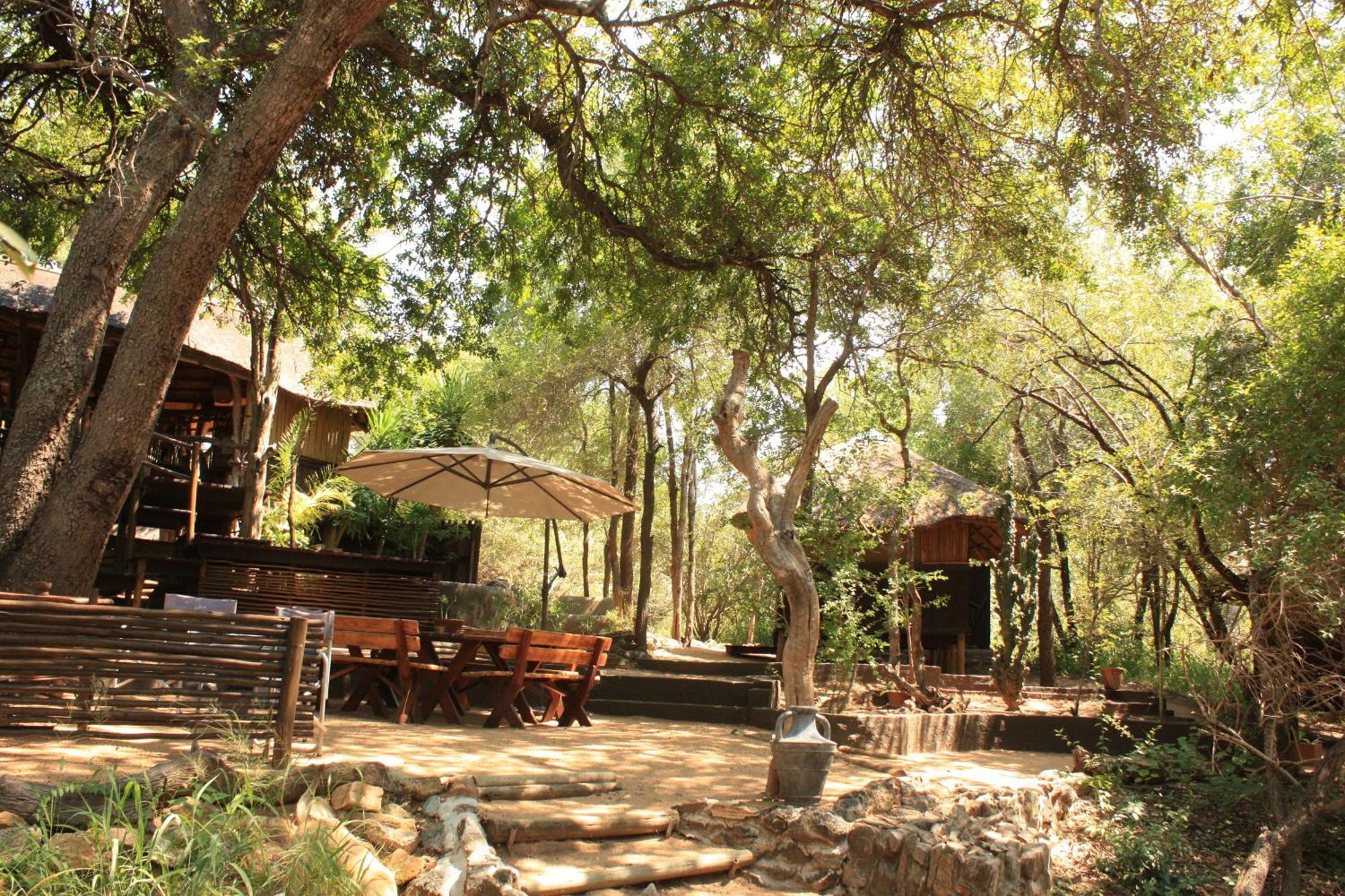 Off Beat Safaris Bush Lodge Hoedspruit Zewnętrze zdjęcie