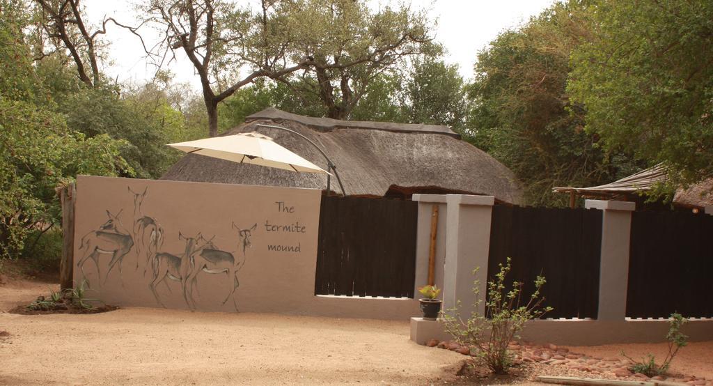 Off Beat Safaris Bush Lodge Hoedspruit Zewnętrze zdjęcie