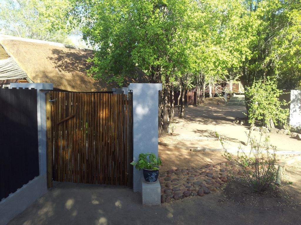 Off Beat Safaris Bush Lodge Hoedspruit Zewnętrze zdjęcie
