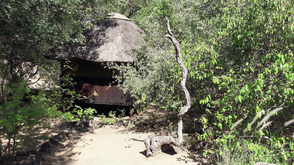Off Beat Safaris Bush Lodge Hoedspruit Zewnętrze zdjęcie