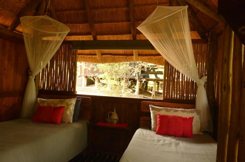 Off Beat Safaris Bush Lodge Hoedspruit Pokój zdjęcie
