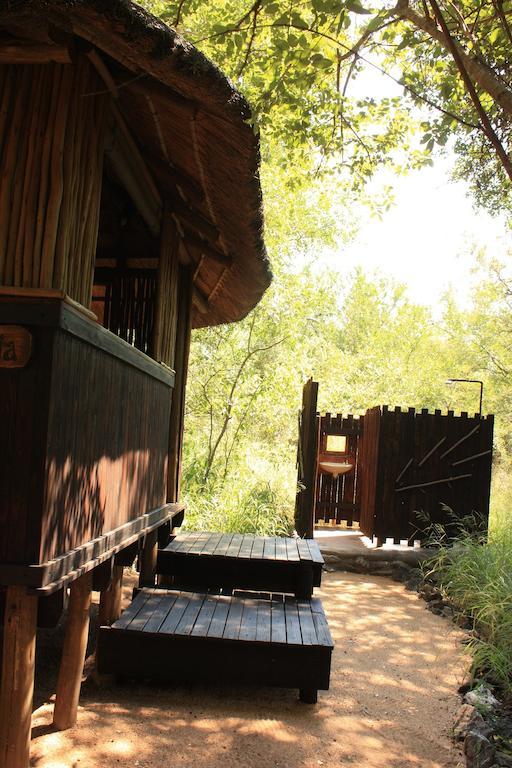 Off Beat Safaris Bush Lodge Hoedspruit Pokój zdjęcie