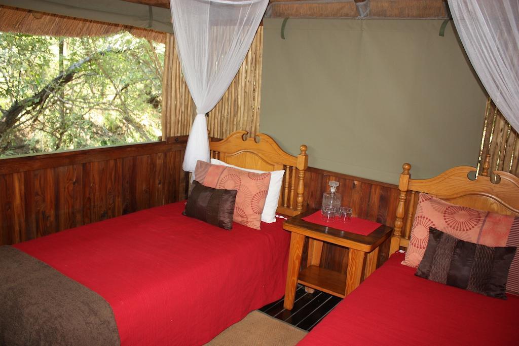 Off Beat Safaris Bush Lodge Hoedspruit Pokój zdjęcie