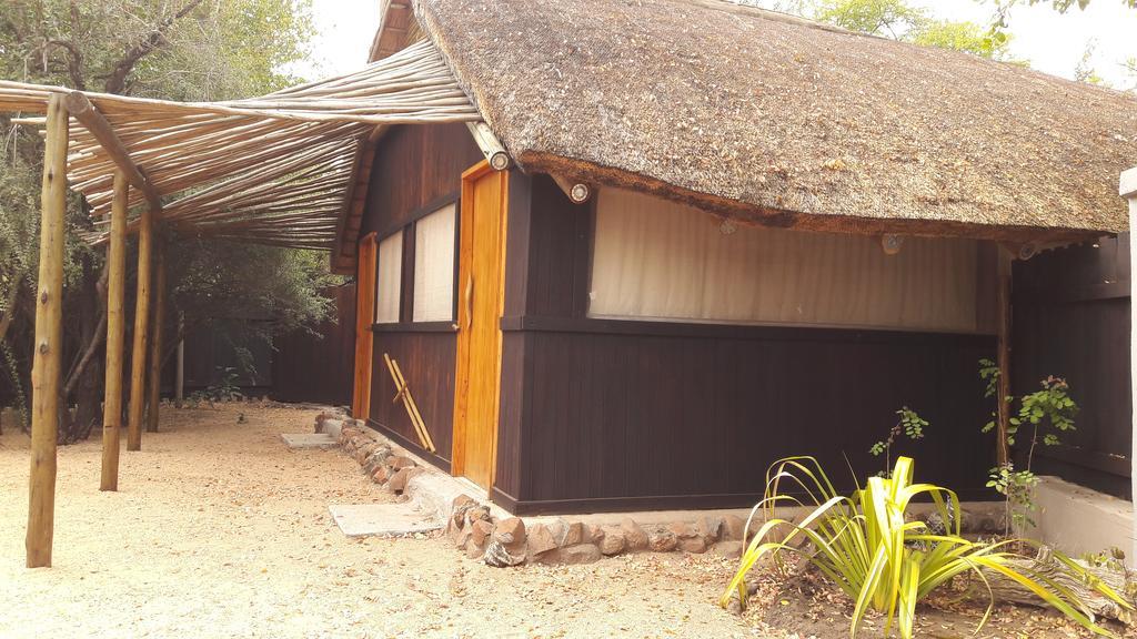 Off Beat Safaris Bush Lodge Hoedspruit Zewnętrze zdjęcie