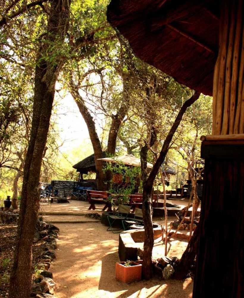 Off Beat Safaris Bush Lodge Hoedspruit Zewnętrze zdjęcie