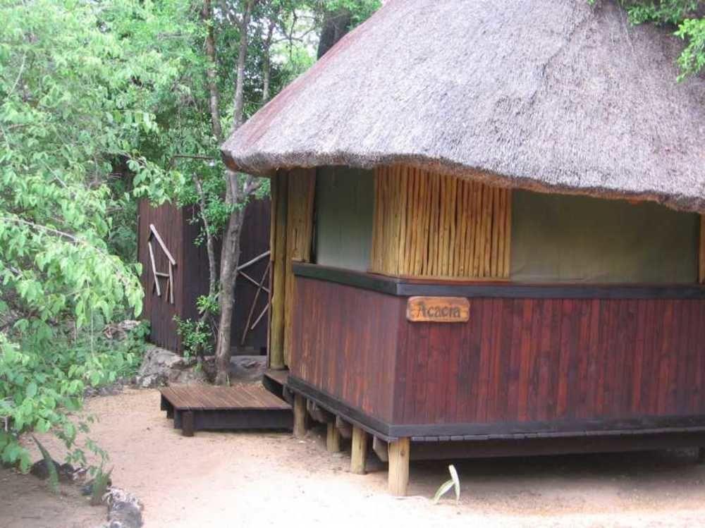 Off Beat Safaris Bush Lodge Hoedspruit Zewnętrze zdjęcie