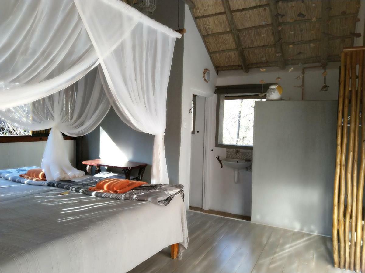 Off Beat Safaris Bush Lodge Hoedspruit Zewnętrze zdjęcie