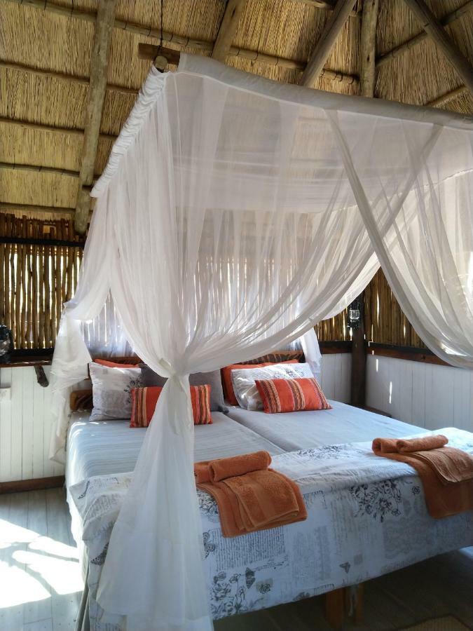 Off Beat Safaris Bush Lodge Hoedspruit Zewnętrze zdjęcie