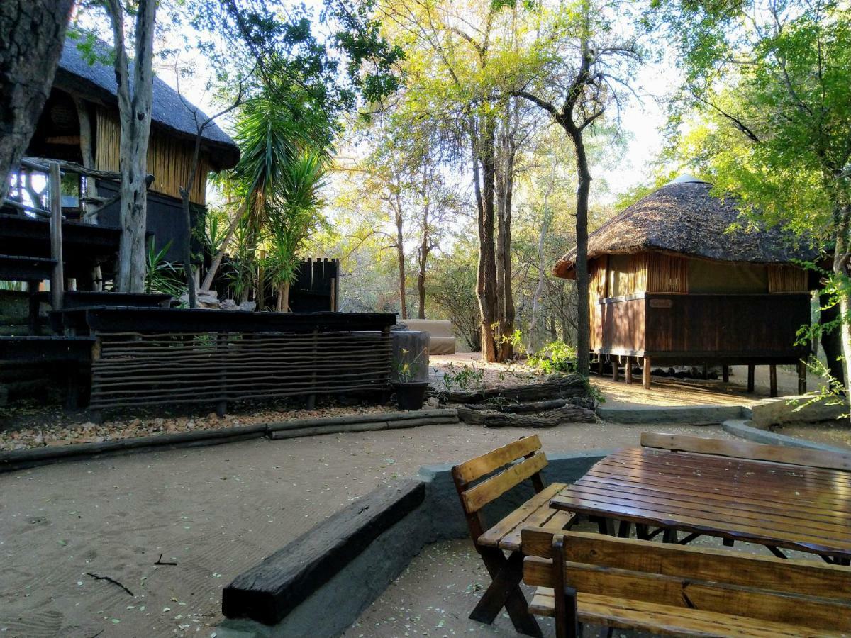 Off Beat Safaris Bush Lodge Hoedspruit Zewnętrze zdjęcie