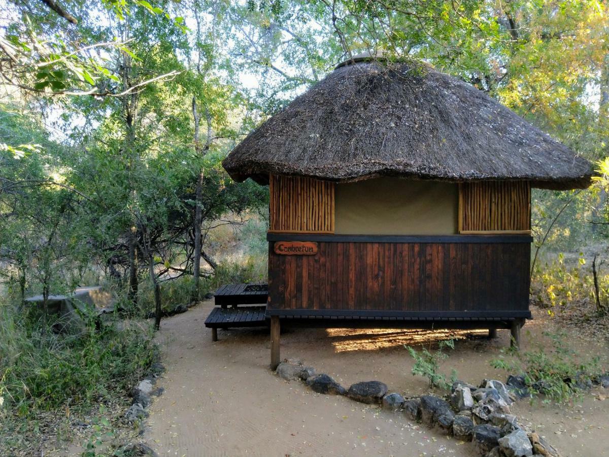 Off Beat Safaris Bush Lodge Hoedspruit Zewnętrze zdjęcie