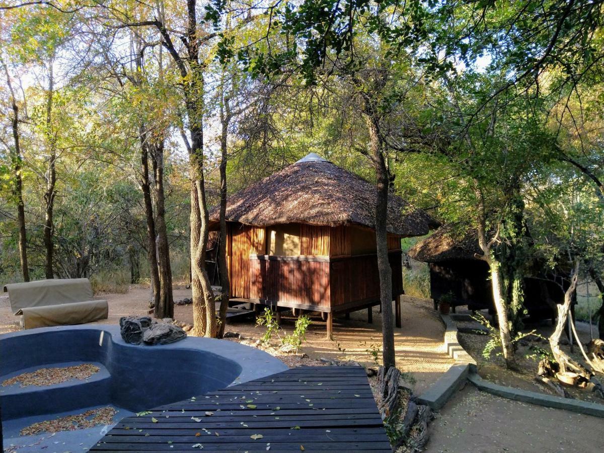 Off Beat Safaris Bush Lodge Hoedspruit Zewnętrze zdjęcie
