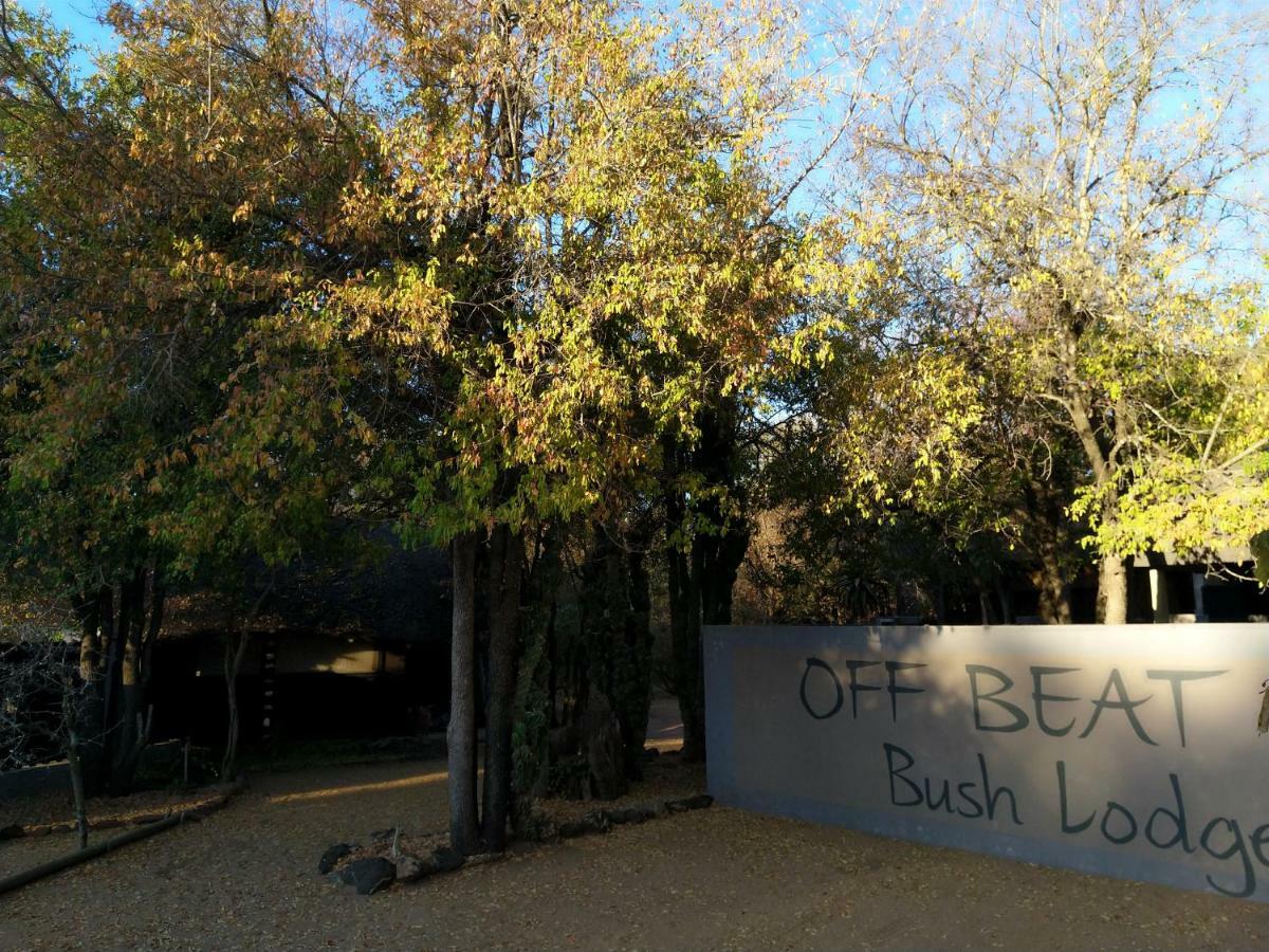 Off Beat Safaris Bush Lodge Hoedspruit Zewnętrze zdjęcie