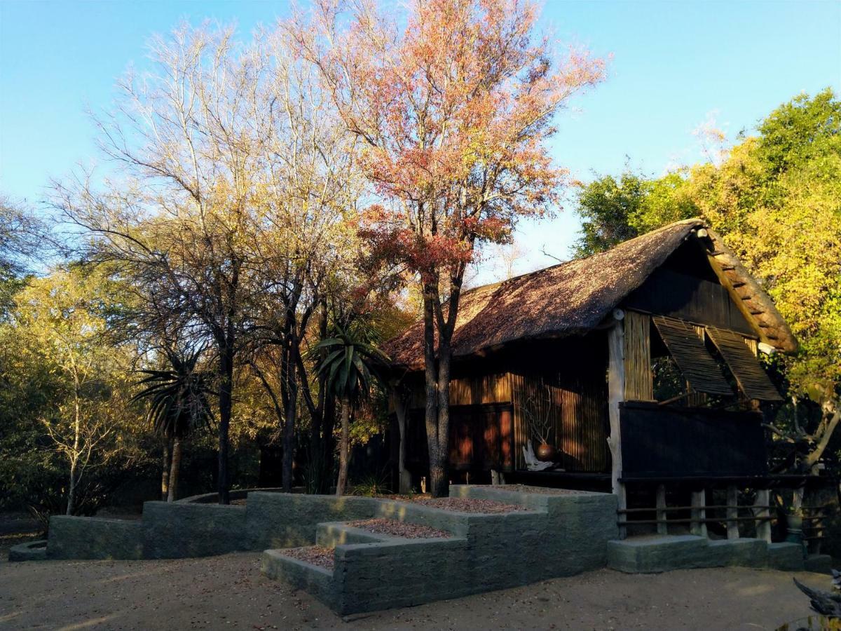 Off Beat Safaris Bush Lodge Hoedspruit Zewnętrze zdjęcie