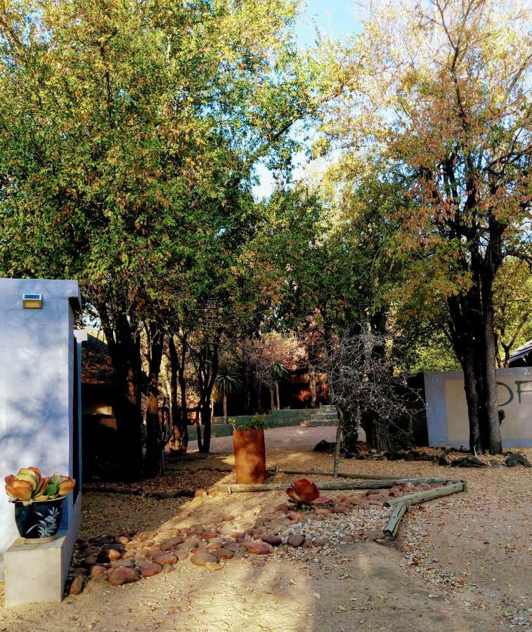 Off Beat Safaris Bush Lodge Hoedspruit Zewnętrze zdjęcie