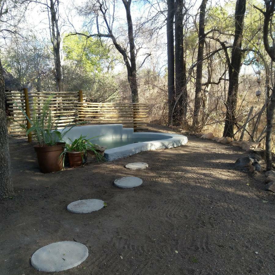 Off Beat Safaris Bush Lodge Hoedspruit Zewnętrze zdjęcie