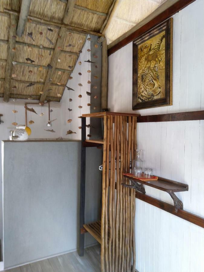 Off Beat Safaris Bush Lodge Hoedspruit Zewnętrze zdjęcie