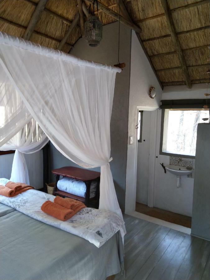Off Beat Safaris Bush Lodge Hoedspruit Zewnętrze zdjęcie